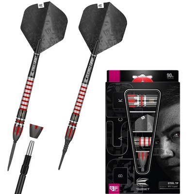 阿斯皮诺尔飞镖TARGET钨钢SWISS