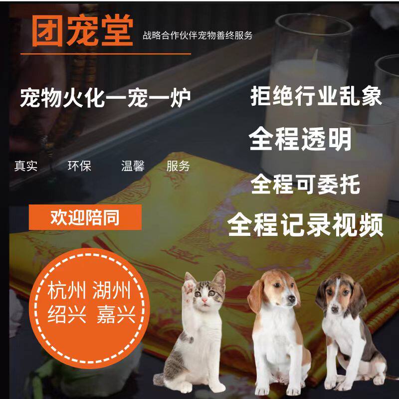 杭州宠物火化猫咪狗狗动物殡葬火葬善终安乐服务24小时