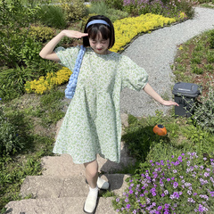 Real price Korean loose and small floral dress