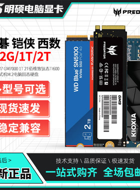 宏碁GM7 GM7000 1T 2T佰维致钛态TI600铠侠台式机M.2电脑固态硬盘