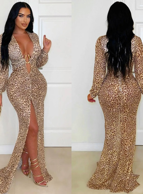 2025women's sexy deep V leopard print slit arm-hugging dress