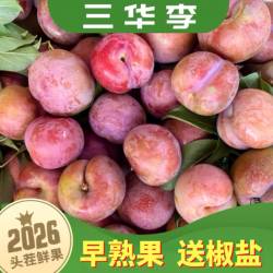 2026正宗钱排三华李早熟红心李子酸甜脆孕妇水果当季现摘发非广西