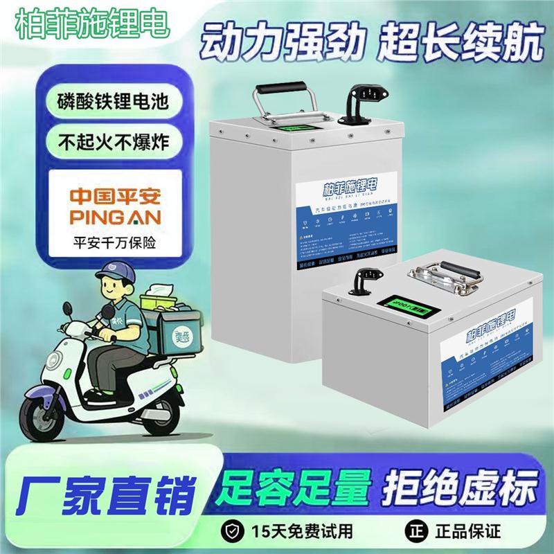 宁德电动车锂池72V60v48铁