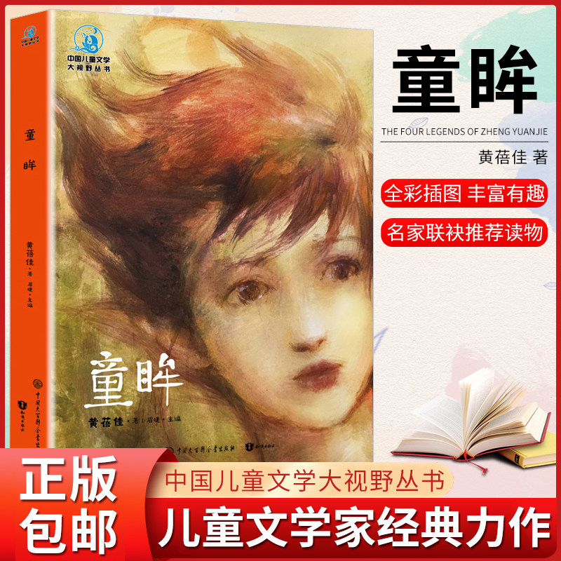 中国儿童文学大视野丛书 童眸 黄蓓佳著 彩色插图版 6-12岁四五六年级