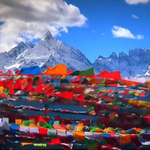 多种内容五色大经幡五彩旗批量发22米50米棉布龙达风马旗包邮