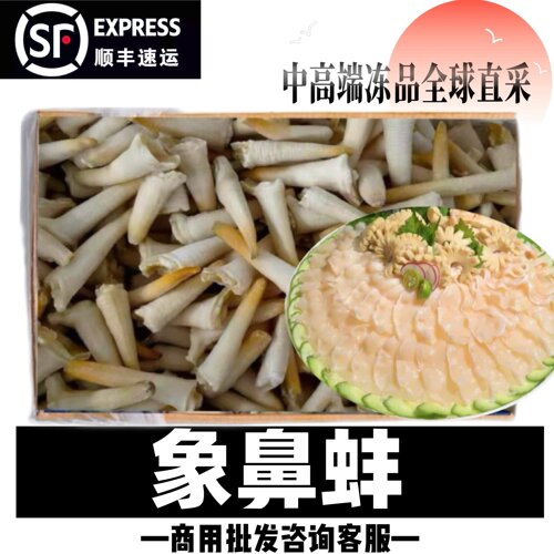 象拔蚌餐饮商用干冰整件20斤小象鼻蚌刺身炒菜