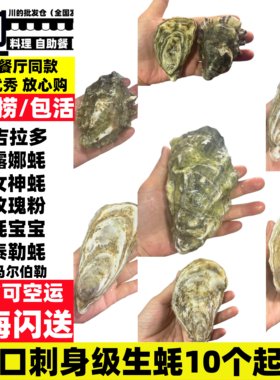 海鲜批发市场法国进口活生蚝刺身生蚝批发上海可闪送外省顺丰空运