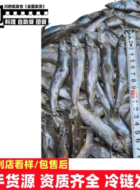 多春鱼5L日式料理食材寿司食材刺身菜整件批发配送