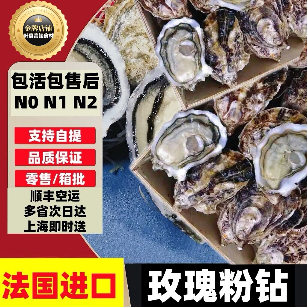 法国生蚝玫瑰粉钻刺身级新鲜活生贝类制品