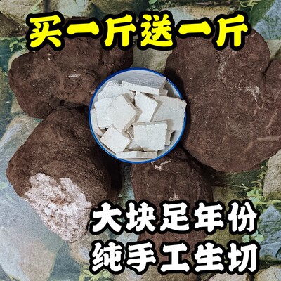 茯苓现挖农家出土即卖