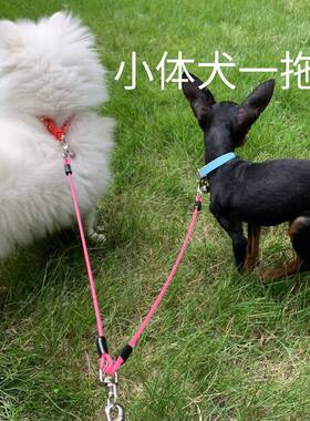 一拖二双头狗链子防缠绕牵引绳两只狗外出遛狗绳幼犬2斤3斤小型犬