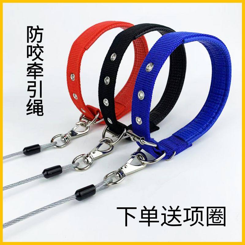 遛狗牵引绳小型犬中型犬大型犬防咬牵狗绳细犬项圈细狗柯基狗链子