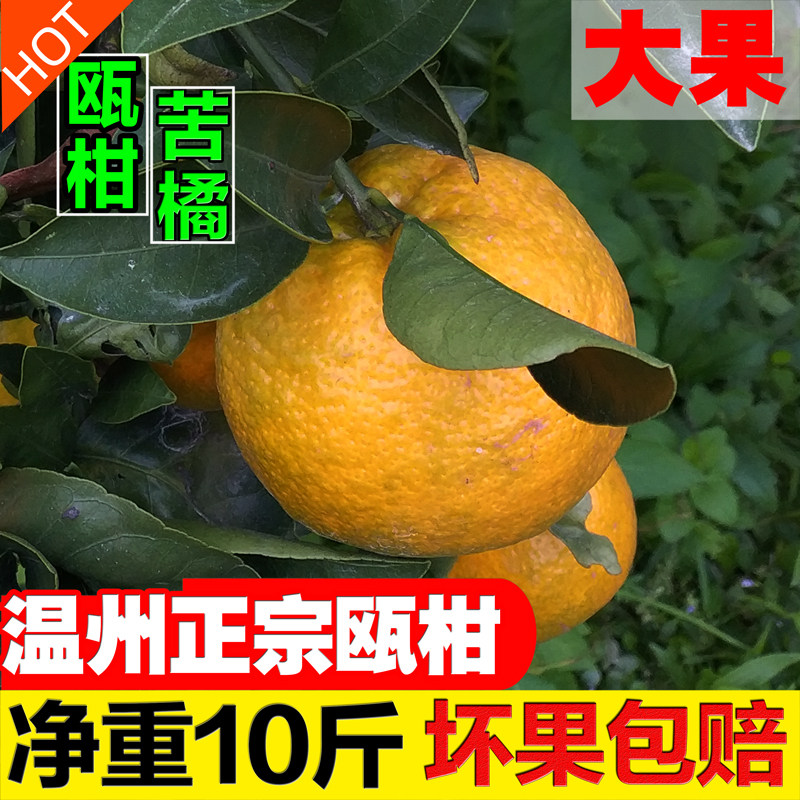 温州正宗瓯柑新鲜苦橘丑橘大果