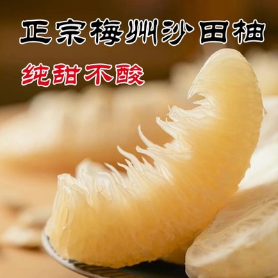 正宗梅州桃尧沙田柚纯甜柚子农家