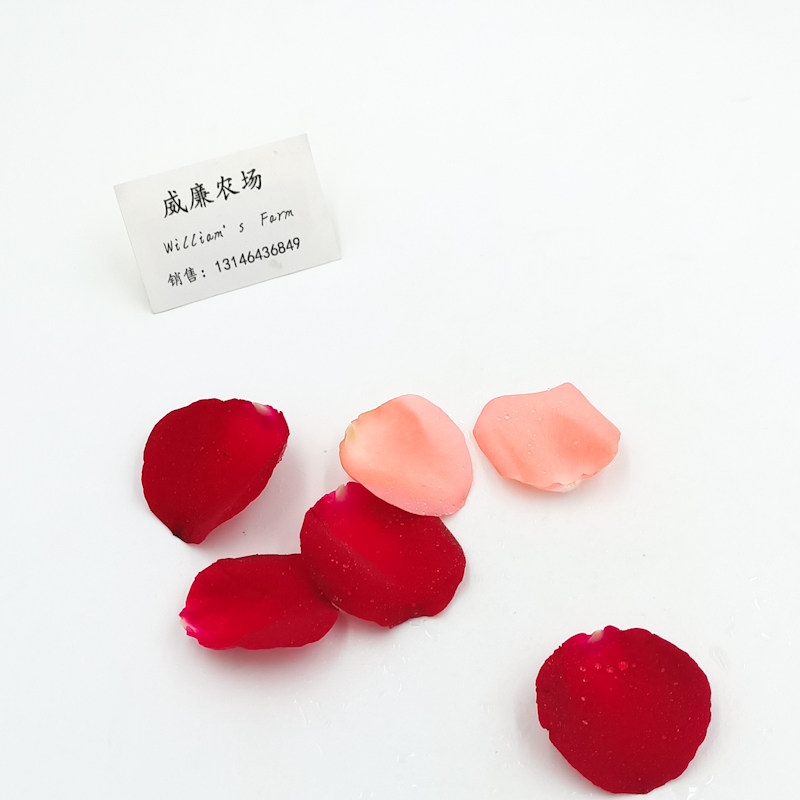 Rose Petal (mixed) 新鮮混合玫瑰花瓣混色花瓣20g在類目 水產肉類/新鮮蔬果/熟食, 新鮮蔬菜/蔬菜製品, 新鮮蔬菜, 食用玫瑰中 - 來自Buy2taobao.com提供專業的淘寶代購服務