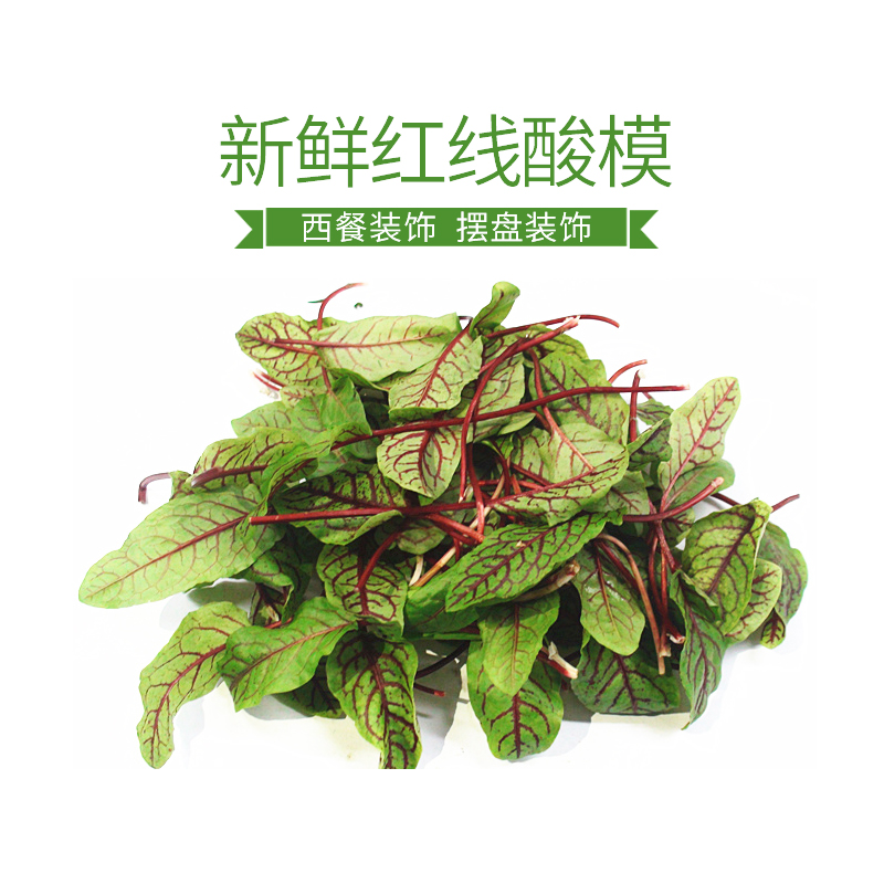 新鲜红线酸模红茎酸模草酢浆草酒店摆盘花草装饰 40片/盒
