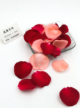Rose Petal (mixed) 新鲜混合玫瑰花瓣混色花瓣20g