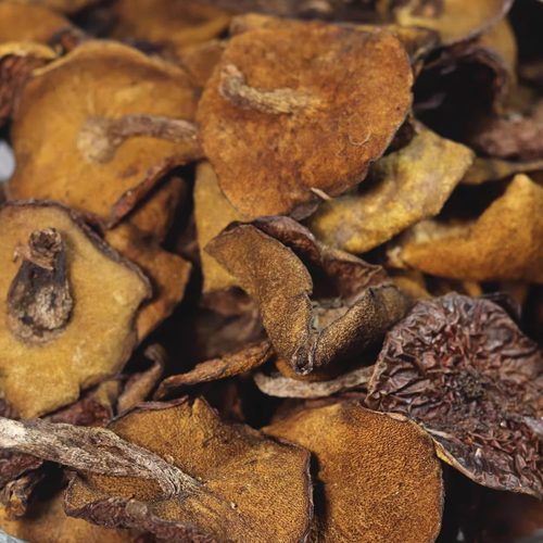 青岛土特产松蘑崂山菇炖鸡蘑菇山菇松蛾子香菇类干货松菇菌菇特价