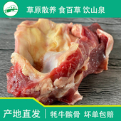 牛窝骨新鲜带肉筋头巴脑牛筋新鲜髌骨蹄筋 牦牛膝盖骨 溜达羊