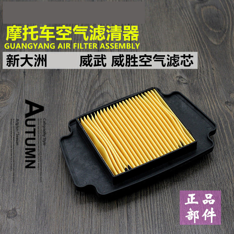 摩托车DH100-41A 42-43-45空气滤芯适用威武 威胜S 滤清器过滤器