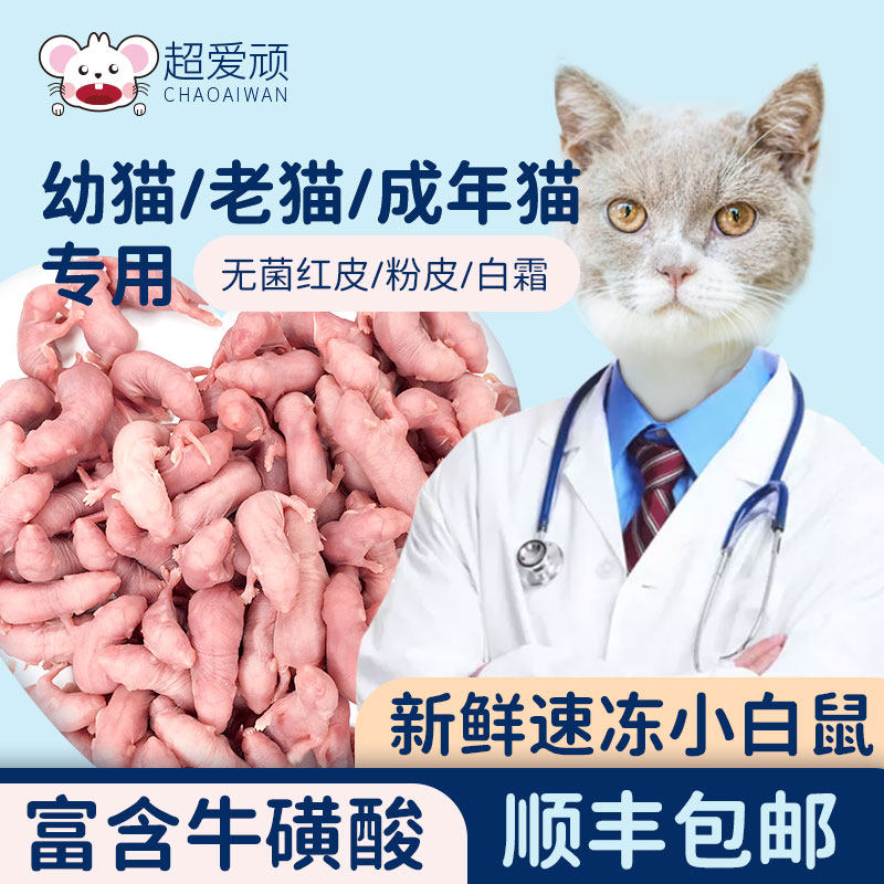 冷冻小白鼠牛磺酸营养幼猫