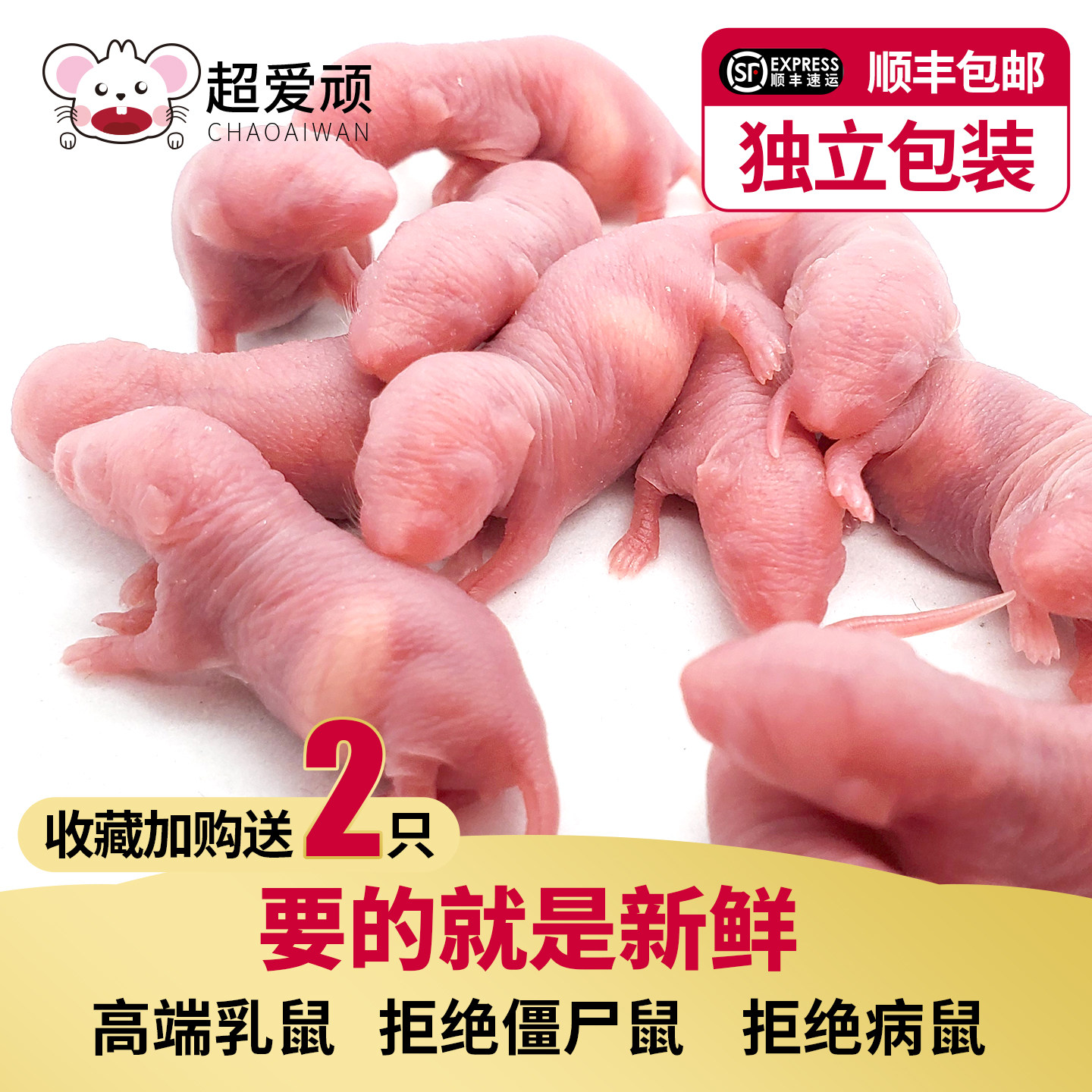 冷冻乳鼠小白鼠爬宠宠物蛇饲料猫粮玉米蛇无菌新鲜开口料红皮粉皮
