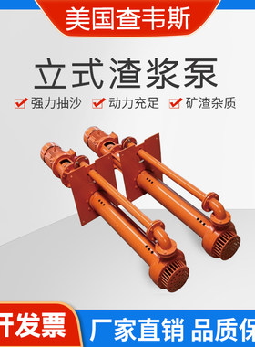 PV-SP渣浆泵CHAVEZ进口立式铸铁