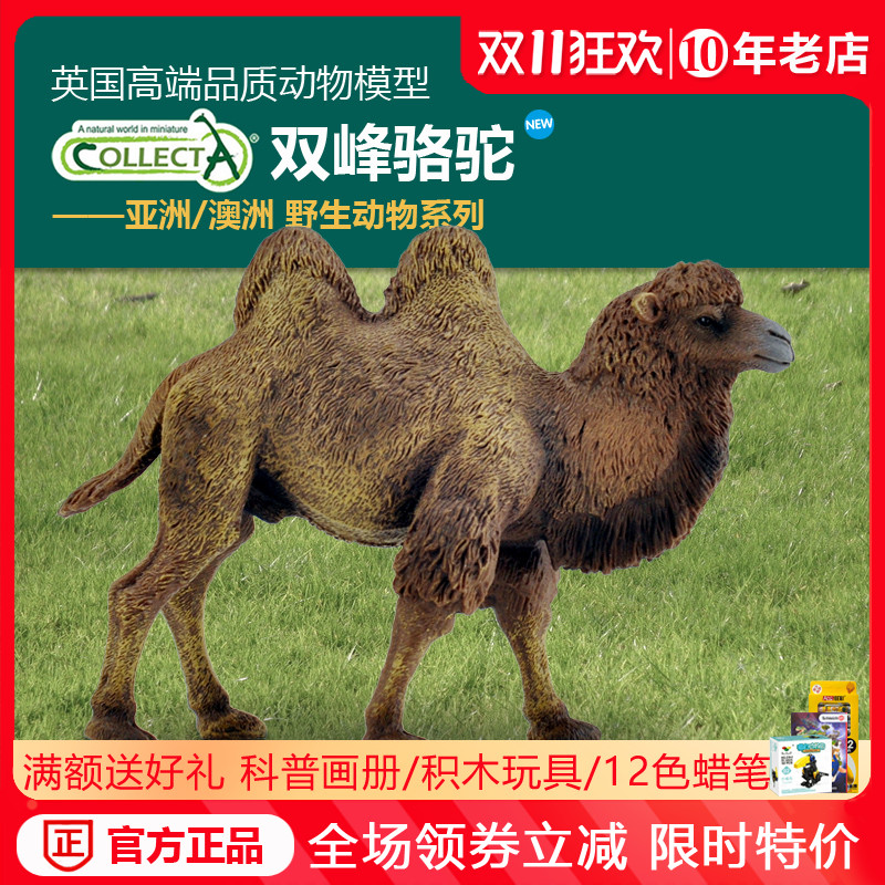 正品英国collecta我你他 仿真动物模型 双峰骆驼 认知玩具摆件