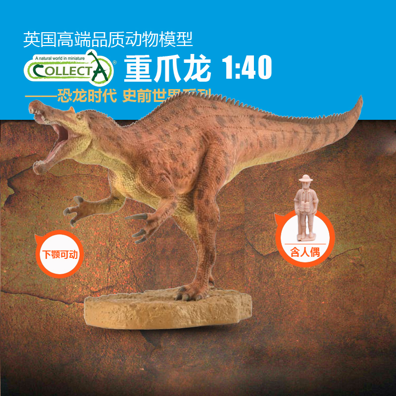 英国重爪龙认知玩具摆件礼物模型