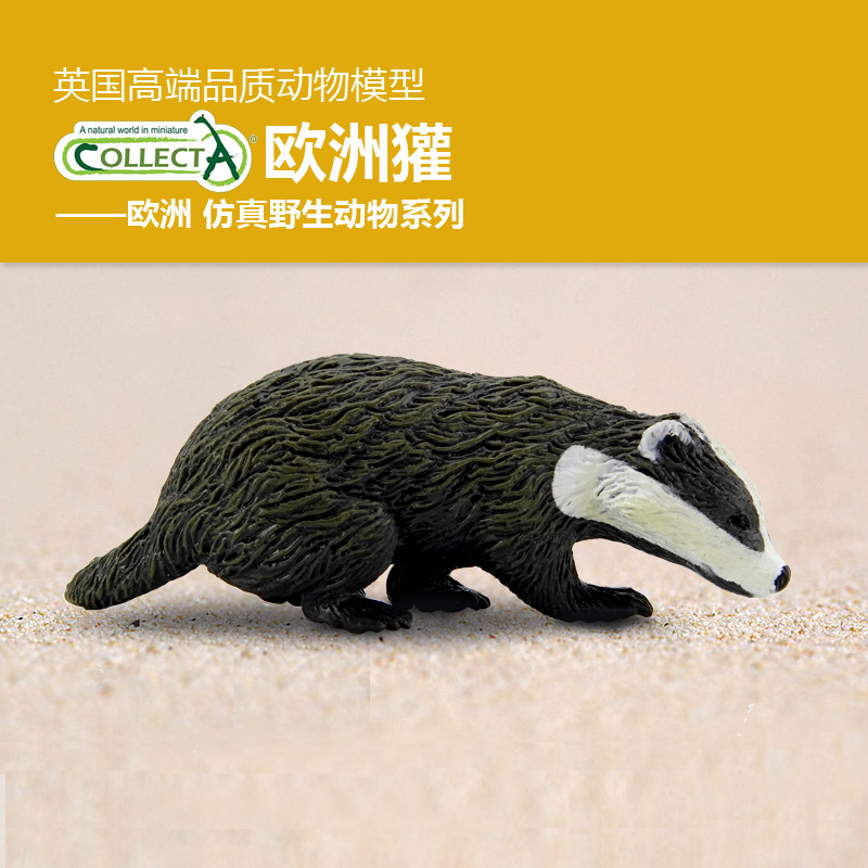 正品英国我你他CollectA欧洲獾 仿真动物模型摆件认知玩具88015