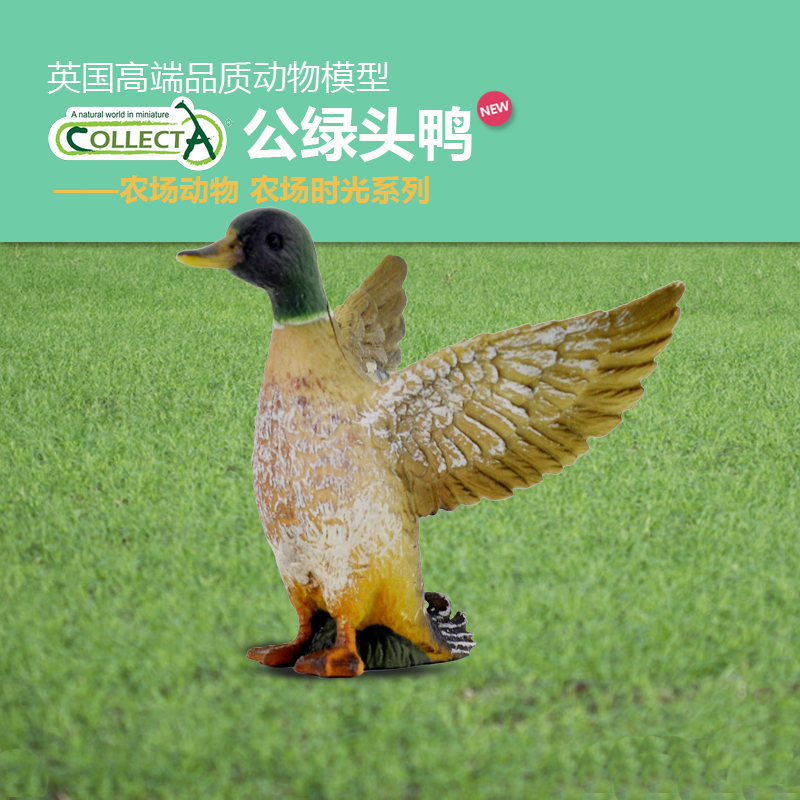 COLLECTA公绿头鸭子仿真玩具摆件