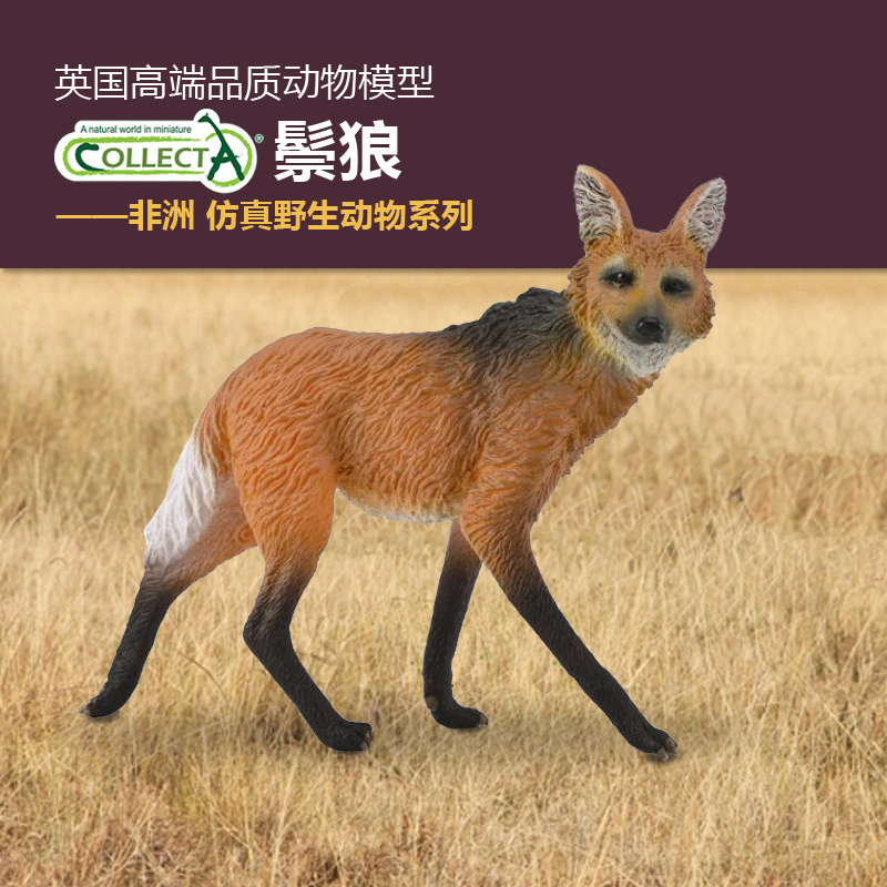 COLLECTA鬃狼非洲野生动物模型