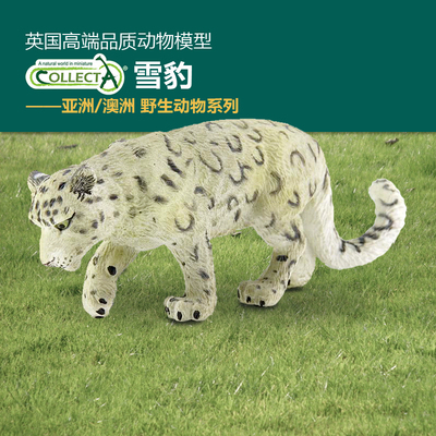 认知Collecta雪豹仿真动物模型