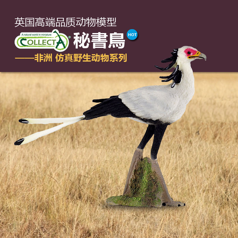 动物认知英国collecta秘书鸟蛇