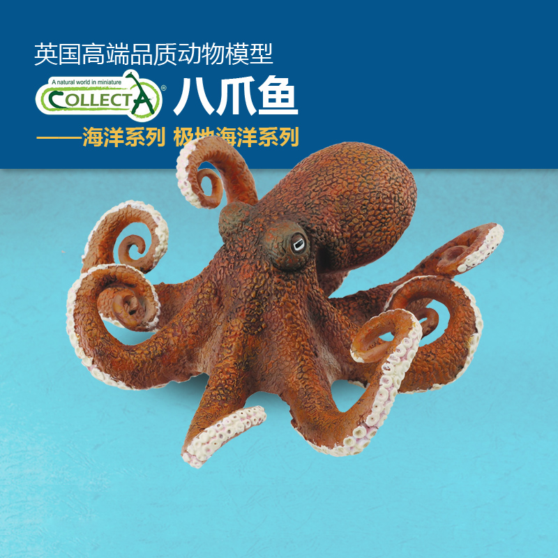 英国CollectA我你他八爪鱼玩具