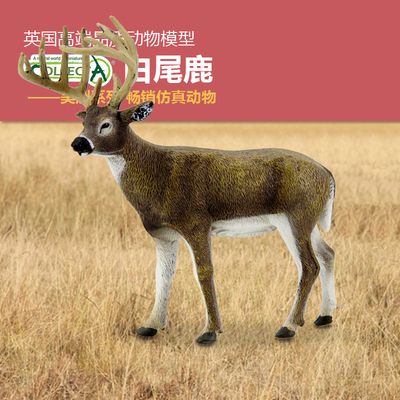 英国我你他白尾鹿仿真动物模型