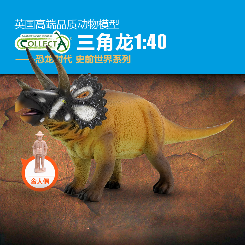 英国认知摆件我你他动物三角龙