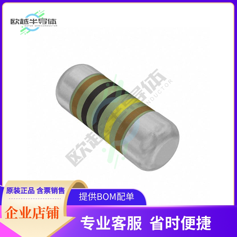 SMM02070C1004FBP00【RES SMD 1M OHM 1% 1W MELF】