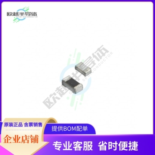 RG1005P 102 0402 RES 16W T10 0.5% SMD OHM