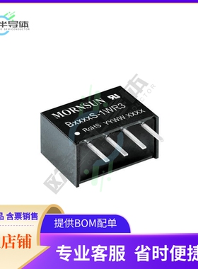 B1509S-1WR3【DC DC CONVERTER 9V 1W】