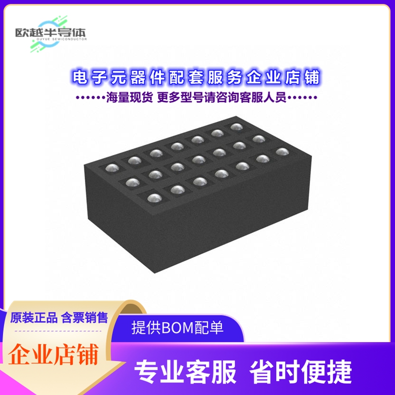 R3110-CBAA-E1T 【IC AUDIO SIGNAL PROCESSOR 21SIP】