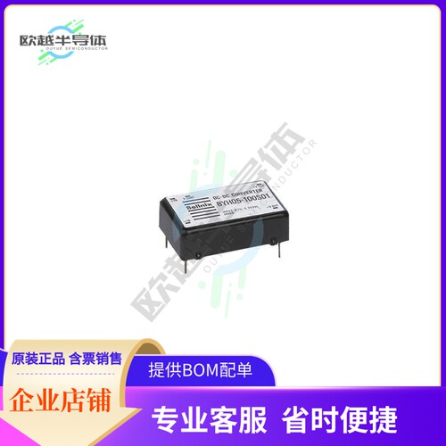 BYH05-100S02【DC DC CONVERTER 100V 200MW】