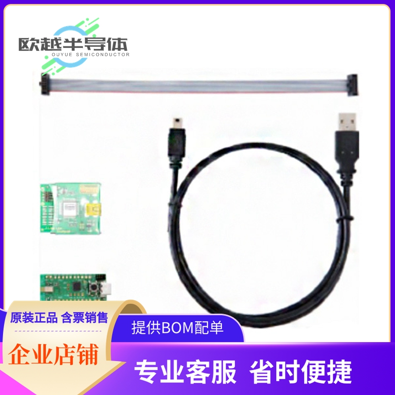 射频评估板ES2810AA2-EVK【EVALUATION KIT (BOARD+DEBUGGER)】