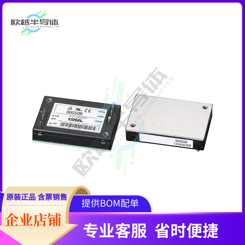 DHS50B03-T【DC DC CONVERTER 3.3V 33W】