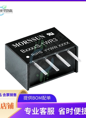 B1515S-1WR3【DC DC CONVERTER 15V 1W】