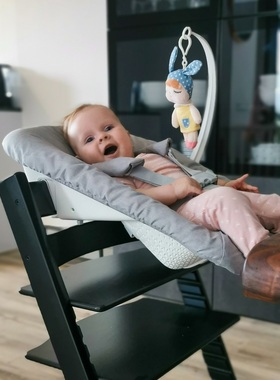 成长椅新生儿套件NewbornSet配件玩具杆睡篮宝宝餐椅儿童摇摇椅TT