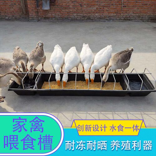 新款水槽食槽养鸡鸭鹅长形食水一体自动喂食器散养喂鸡鸭鹅打不翻