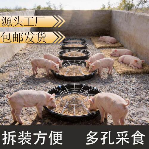 可固定型小猪补料槽仔猪食槽猪槽子圆形饲料盆畜牧养殖设备