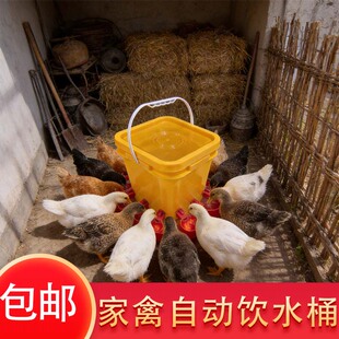 鸡用自动饮水器自动喂水器鸡水碗自动喂食器鸡食槽喂鸡神器小鸡