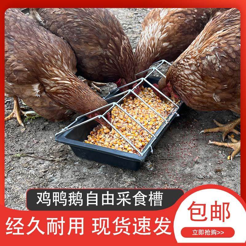 新款鸡鸭鹅喂料食槽干湿两用补料槽长方形圆形家禽自由采食神器